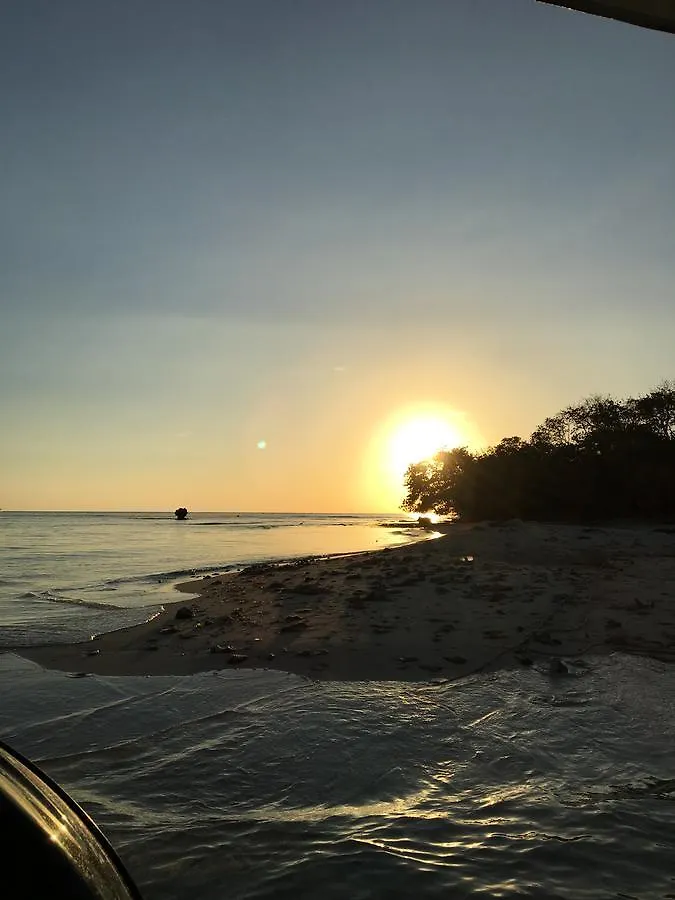 Pensionat Tropical Breeze Villa Negril
